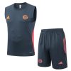 Bayern Munich Sleeveless Training Kit Gray 2025/26