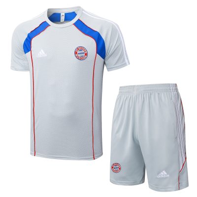 Bayern Munich Training Jersey Kit Gray 2025/26