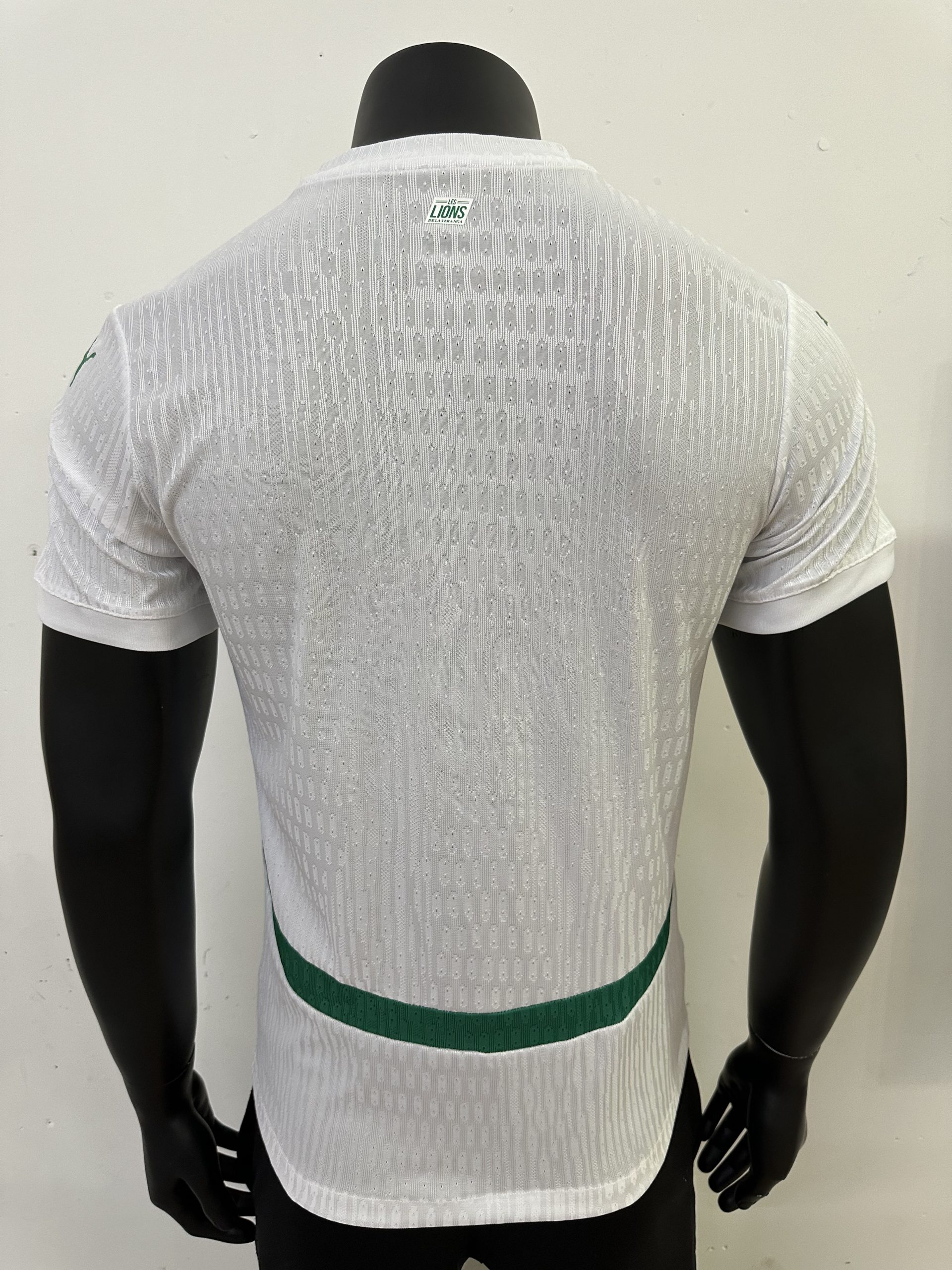 Senegal Soccer Jersey Home Shirt 2025 - Image 2