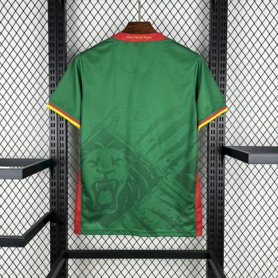 Alternative view of Cameroon Soccer Jersey Home Custom Shirt 2025
