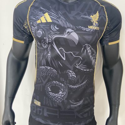 Mexico Special Soccer Jersey 2025