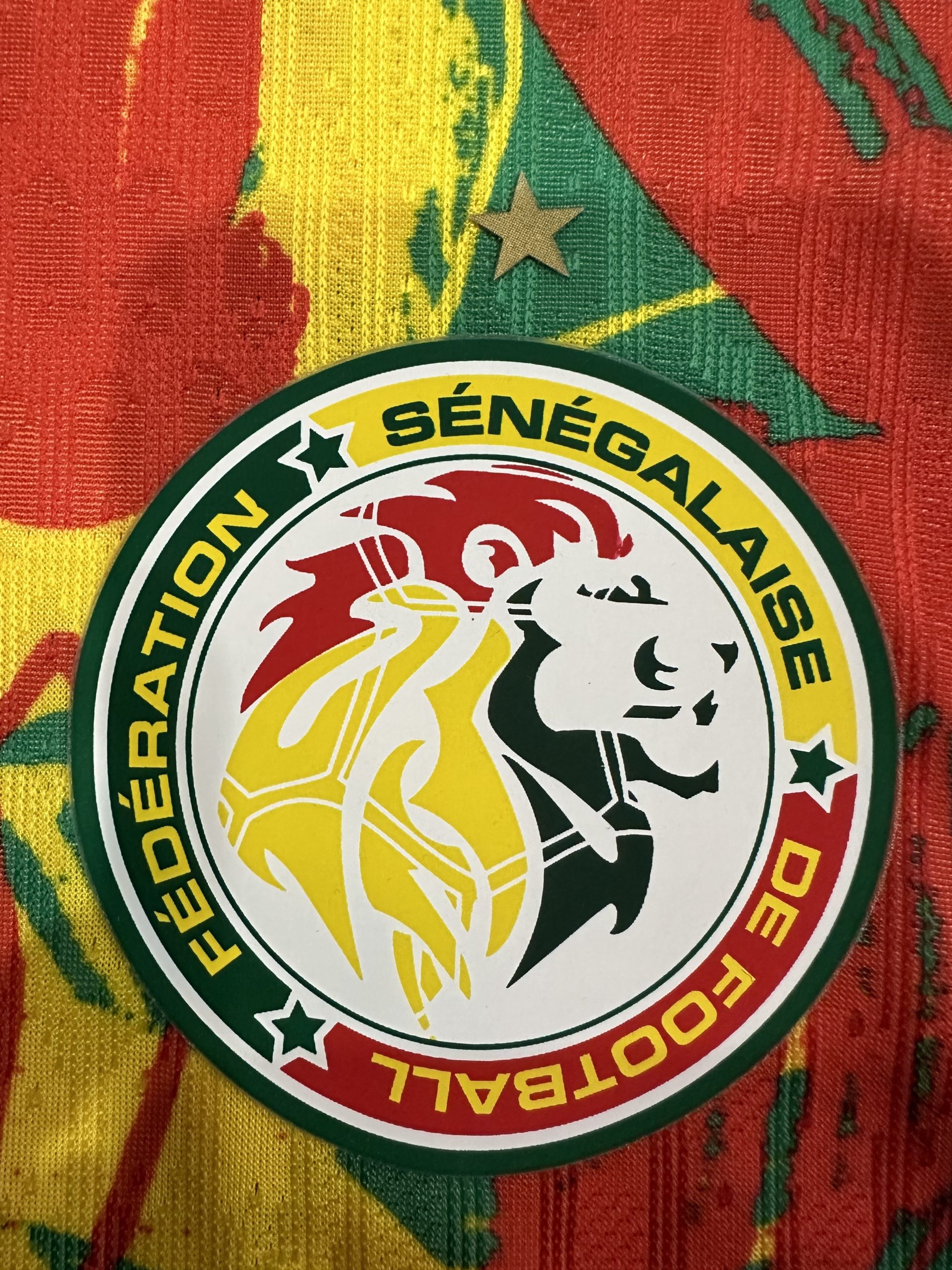 Senegal Soccer Jersey Training Shirt 2025 - Image 5