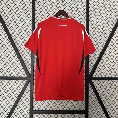 Alternative view of Hungary Soccer Jersey Home Custom Shirt EURO 2024