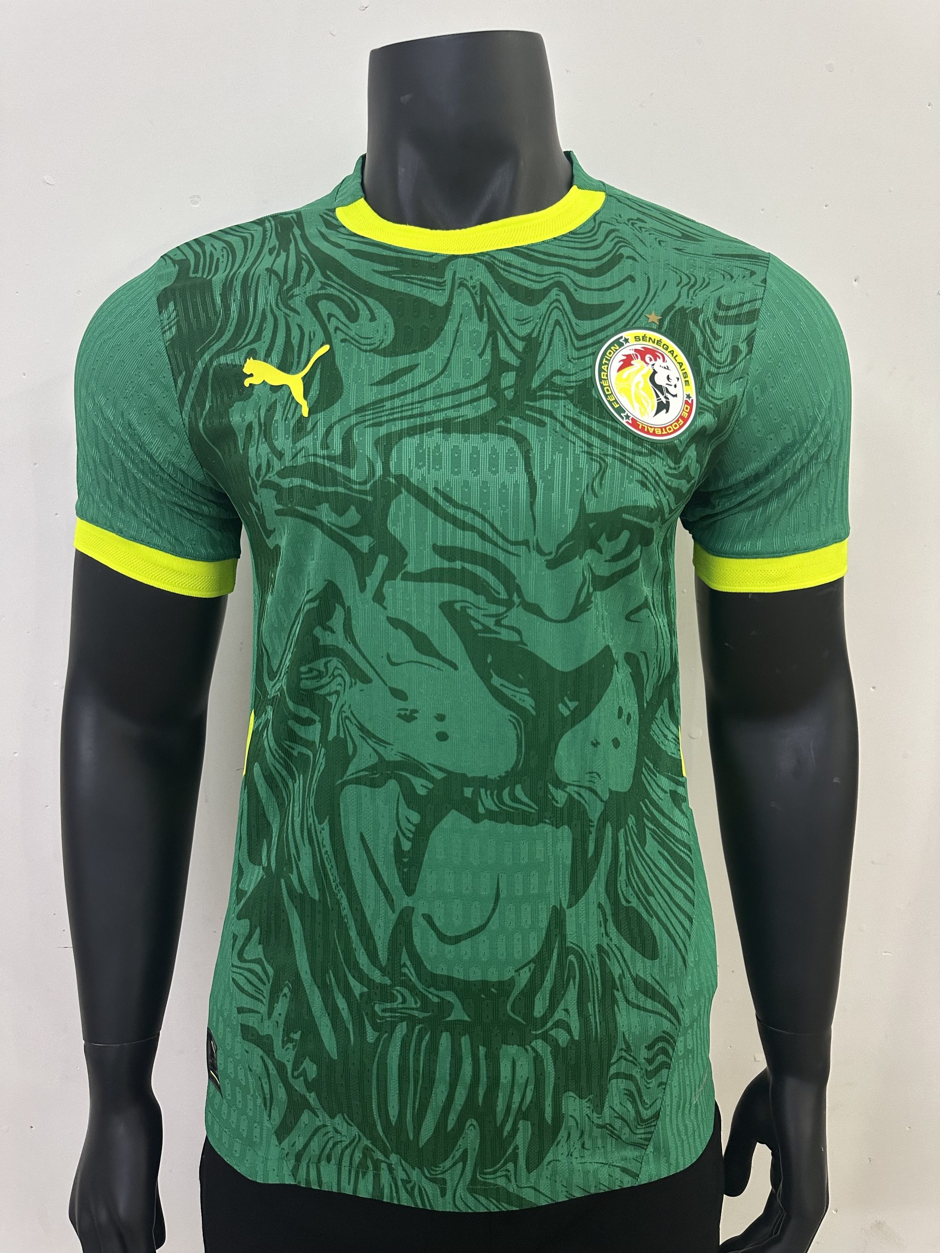 Senegal Soccer Jersey Away Shirt 2025