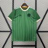Celtic Soccer Jersey Special Edition Custom Shirt 2024/25