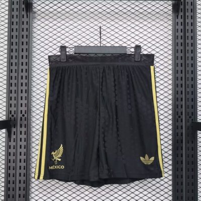 Mexico Special Soccer Shorts 2025