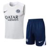 Inter Milan Sleeveless Training Kit Gray 2025/26