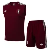 Ajax Sleeveless Training Kit Red 2025/26