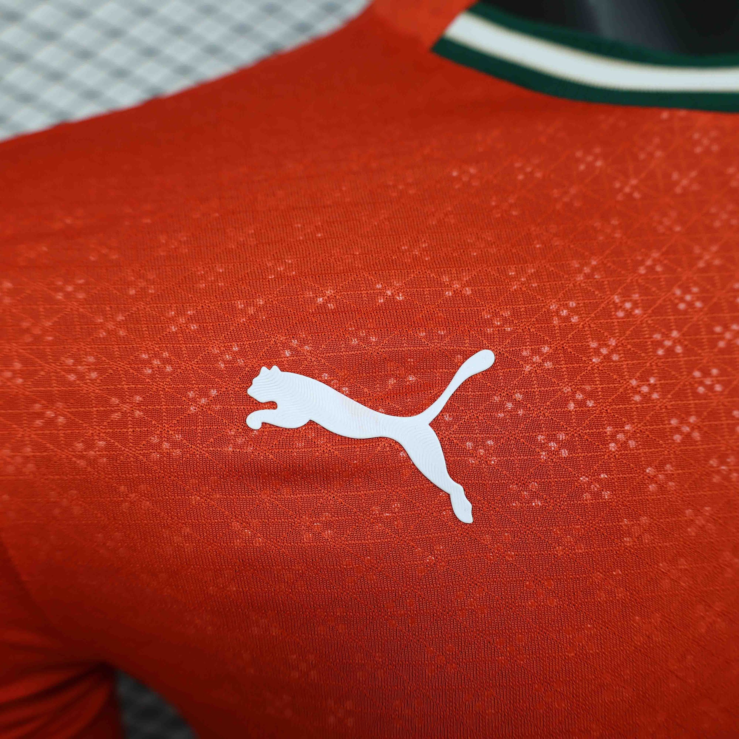 Portugal Soccer Jersey Home Long Sleeve Shirt 2025 - Image 6