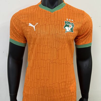 Côte d'Ivoire  Soccer Jersey Home Shirt 2025