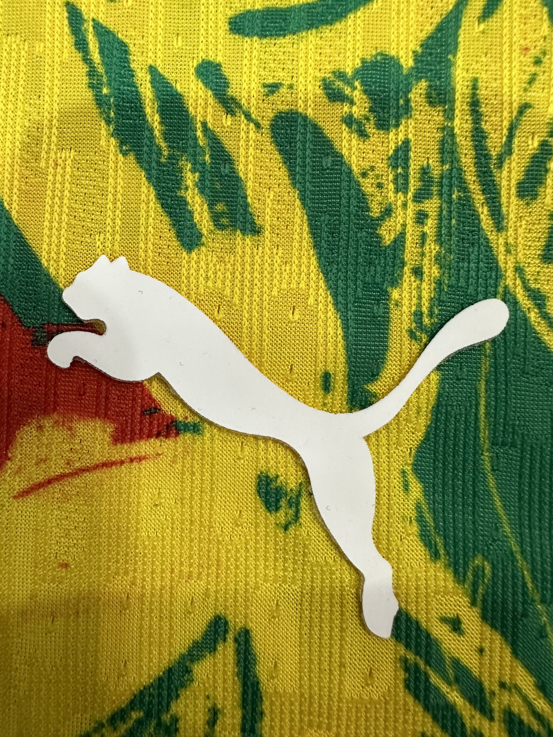 Senegal Soccer Jersey Training Shirt 2025 - Image 4