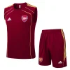 Arsenal Sleeveless Training Kit Red 2025/26