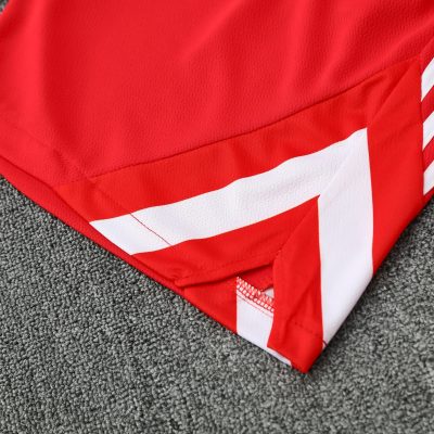 Alternative view of Bayern Munich Training Jersey Kit Red 2025/26