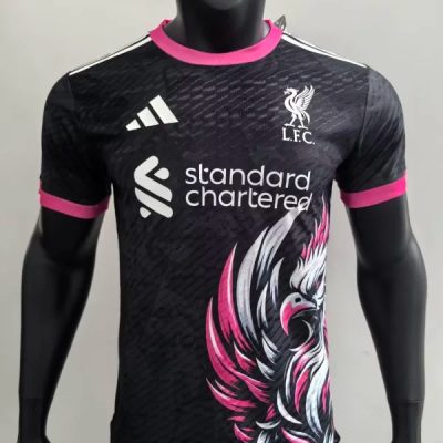 Liverpool  Football Jersey Special Edition Shirt 2024/25