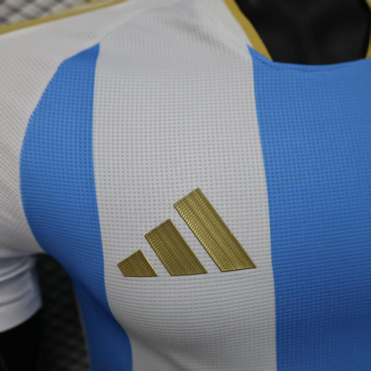 Argentina Soccer Jersey Home Shirt 2025 - Image 4