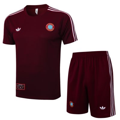 Bayern Munich Training Jersey Kit Red 2025/26