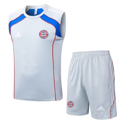 Bayern Munich Sleeveless Training Kit Gray 2025/26