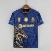 FC Porto Soccer Jersey Champions Special Edition Custom Shirt 2022/23