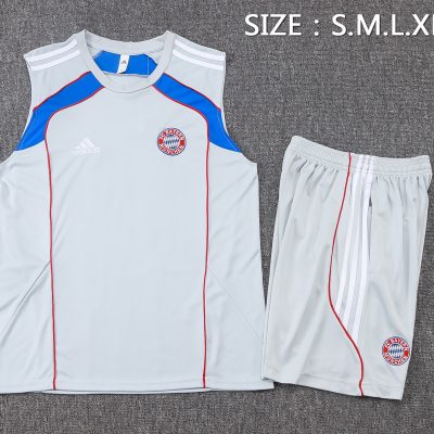 Alternative view of Bayern Munich Sleeveless Training Kit Gray 2025/26